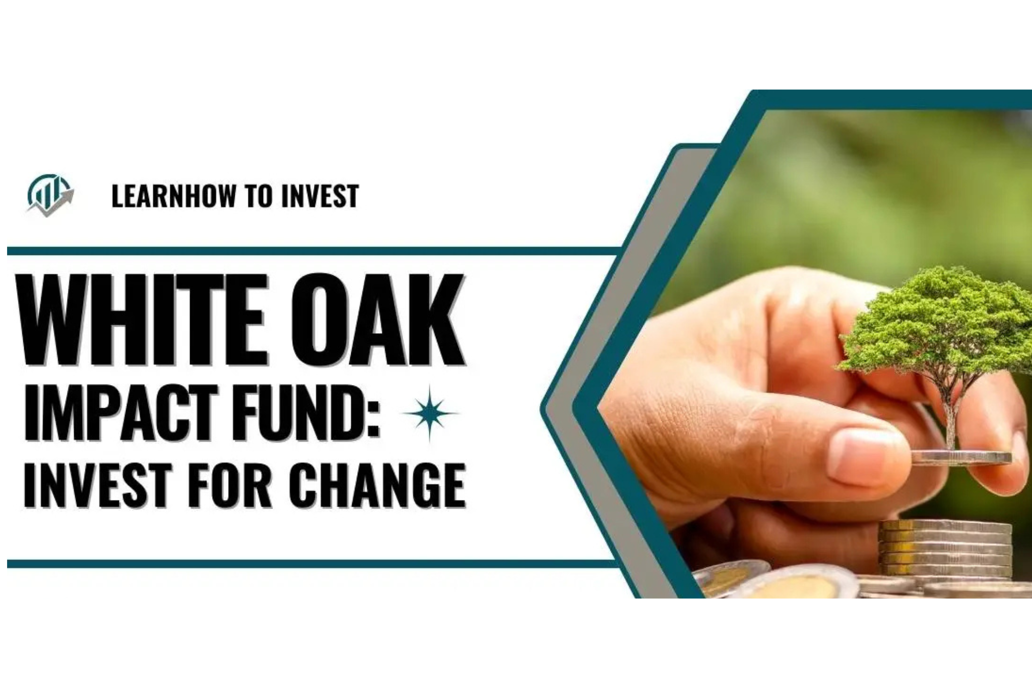 White Oak Impact Fund: Transforming Sustainable Investments