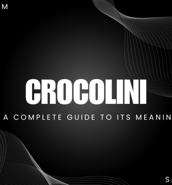 crocolini: A Complete Guide to Its Meaning and Uses